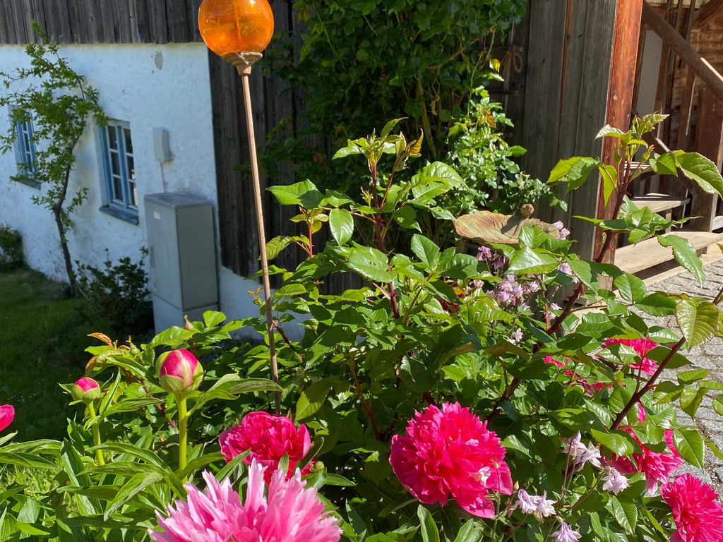 Kleines Haus Blumen