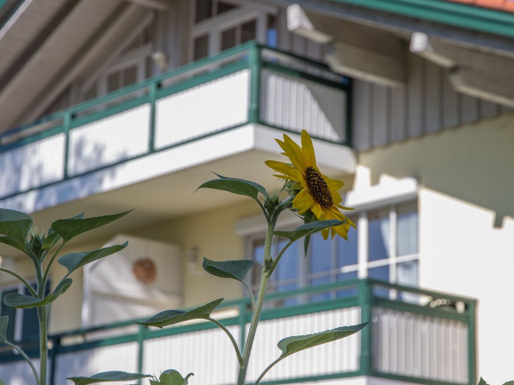Ferienwohnung OG