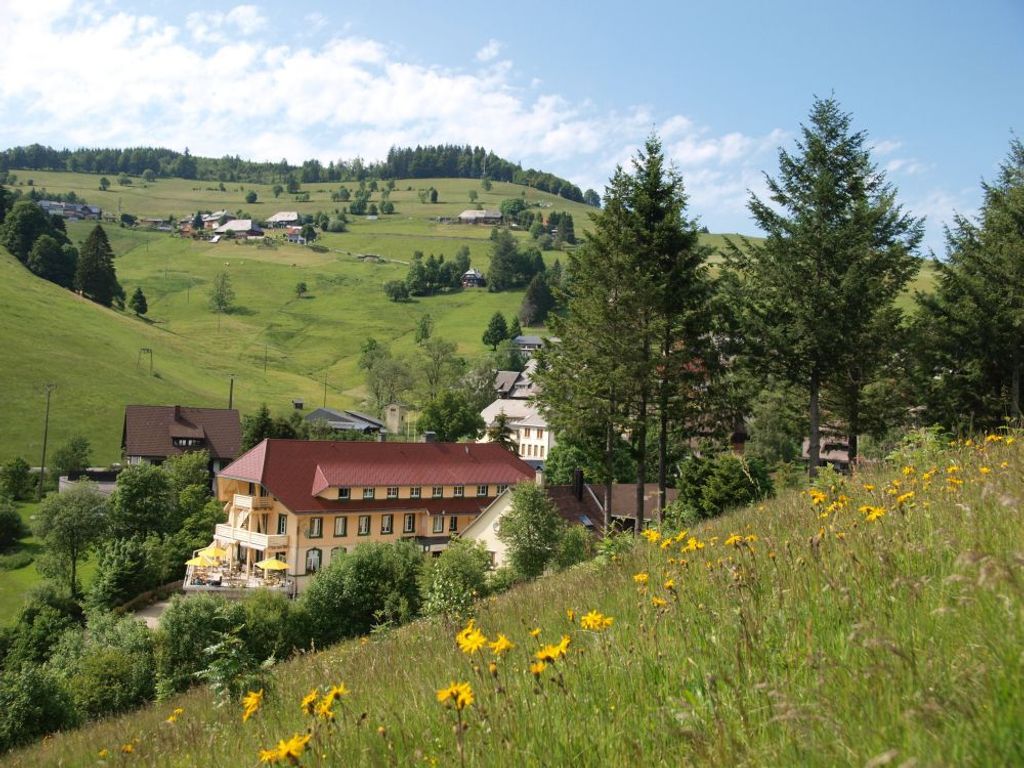 Naturpark-Hotel Grüner Baum