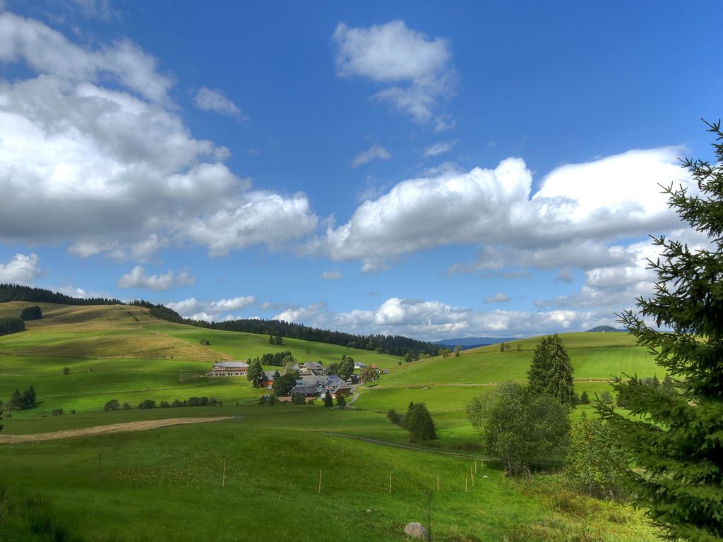 derWaldfrieden naturparkhotel