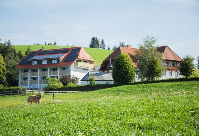 Bild 2