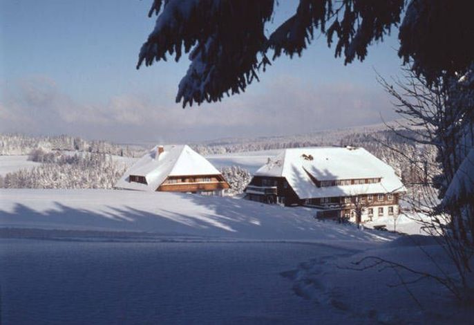 Bild 4