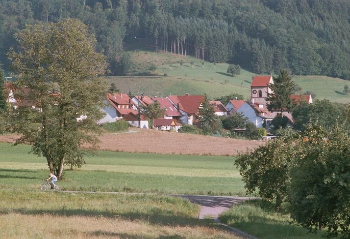 Bild 8