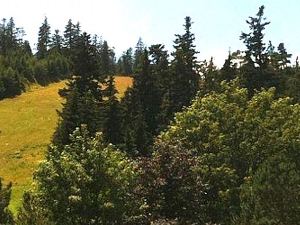 image003.jpg