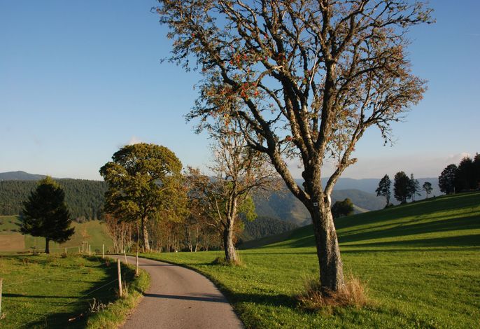 Bild 18