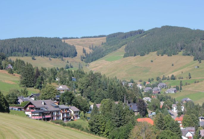 Bild 13
