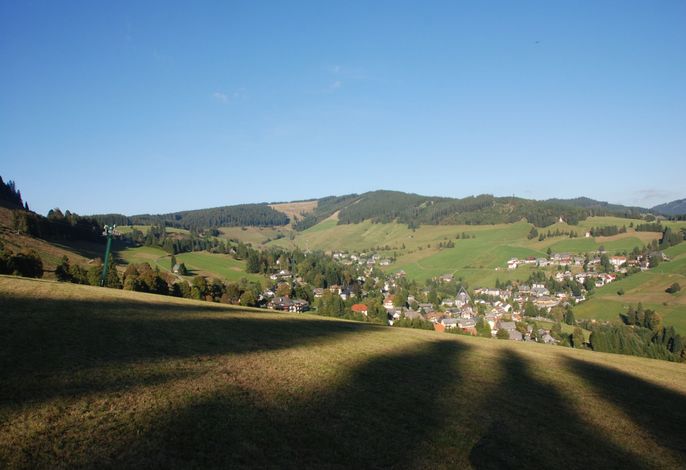 Bild 16