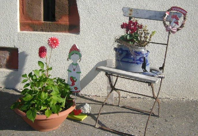 Hauptbild