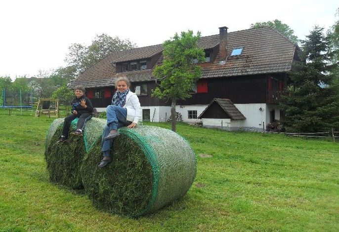 Bild 6
