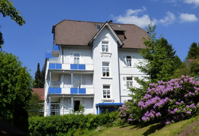 Hauptbild