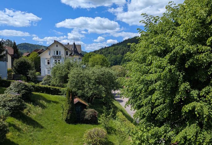 Bild 19