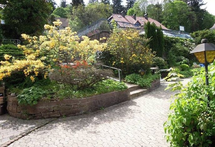 Bild 9