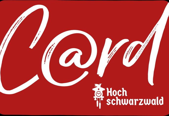 Bild 20