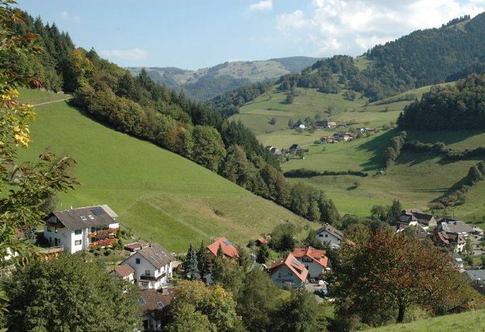 Bild 12