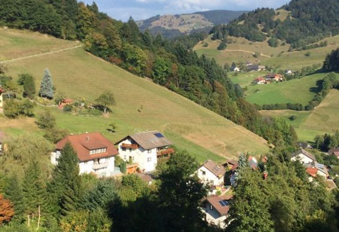 Bild 14