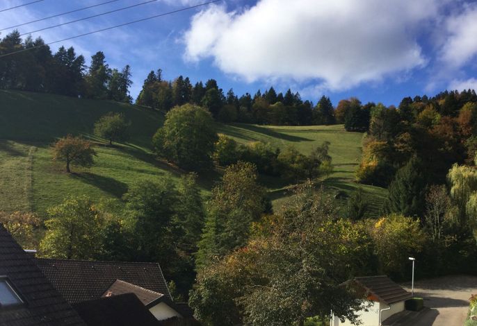 Bild 15