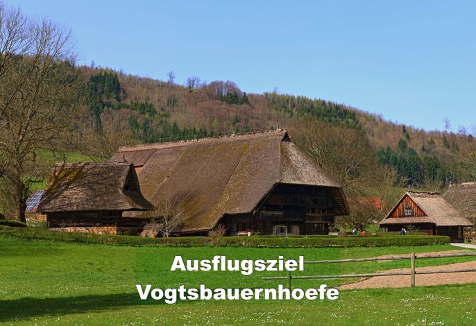 Bild 26