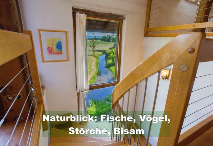 Bild 37