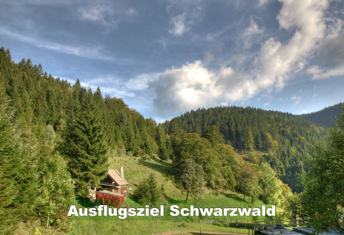 Bild 27