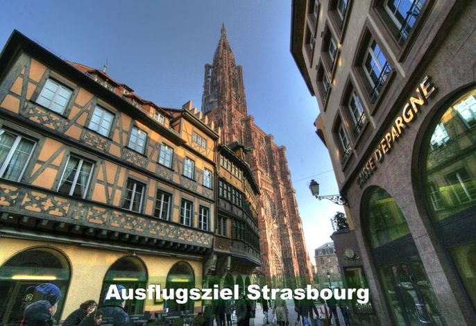 Bild 25