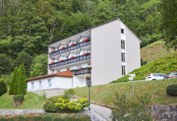 Bild 11