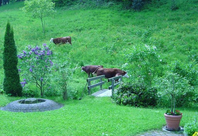 Bild 7