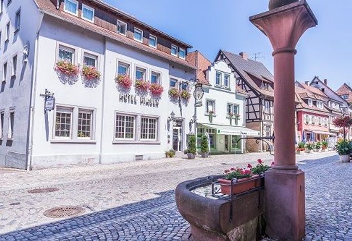 Bild 19