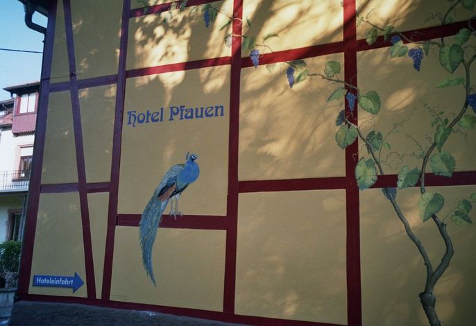 Bild 8