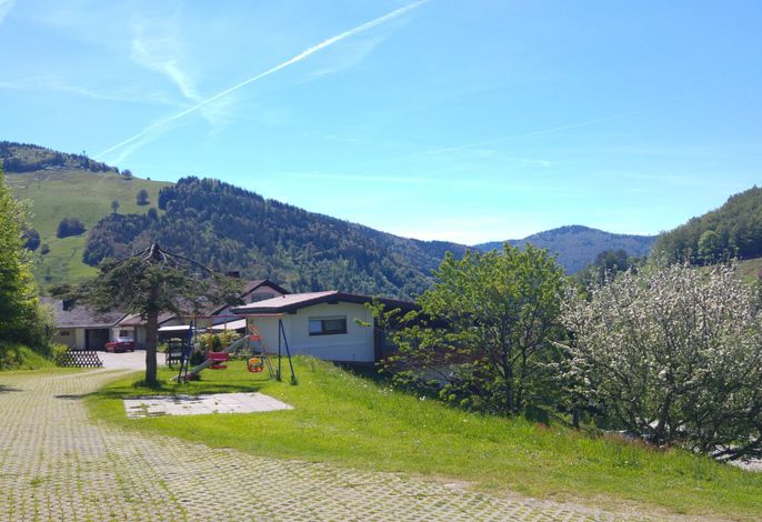 Bild 7