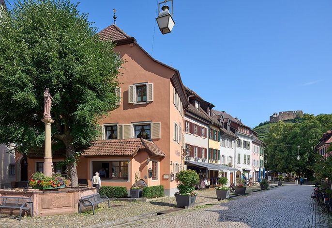 Bild 7