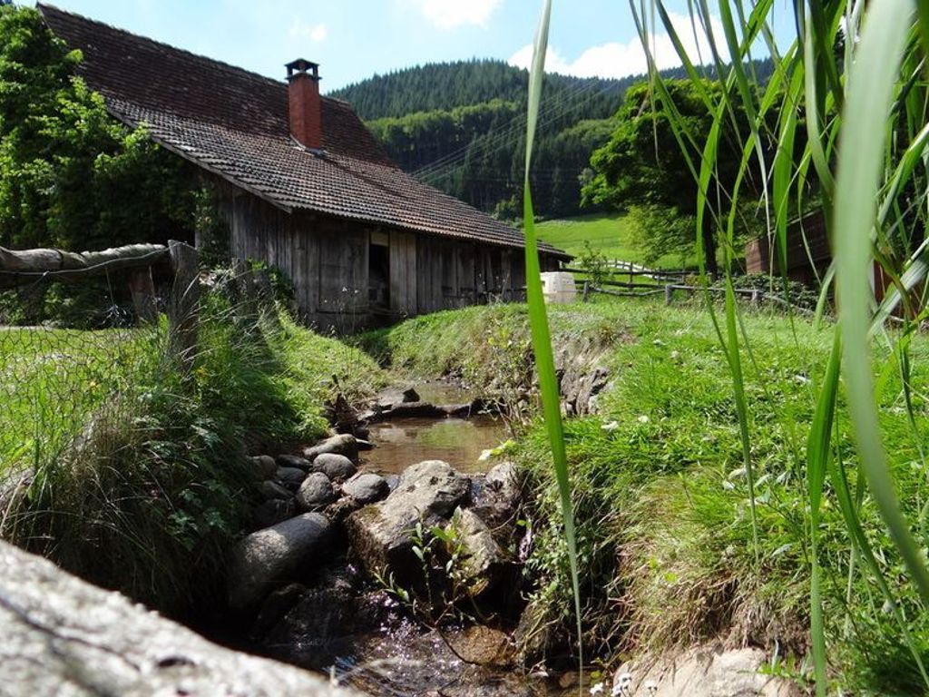 Bächlein