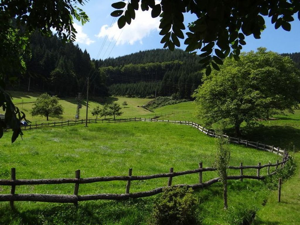 Umgebung