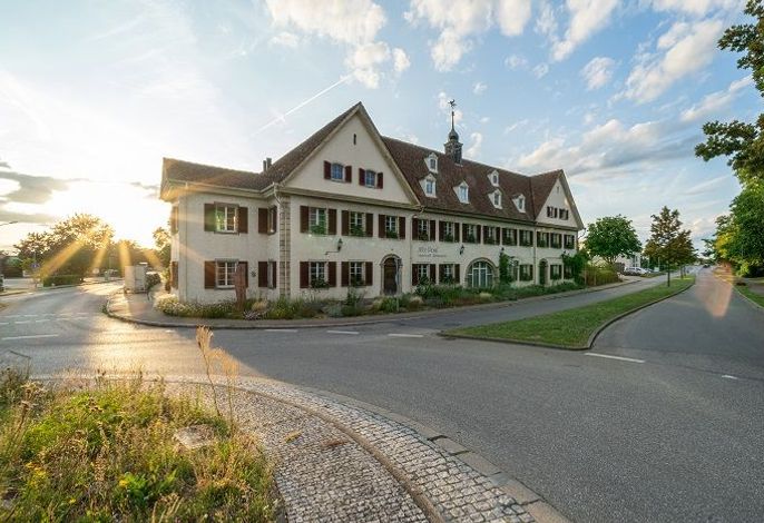Bild 14