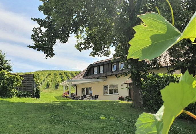 Bild 13