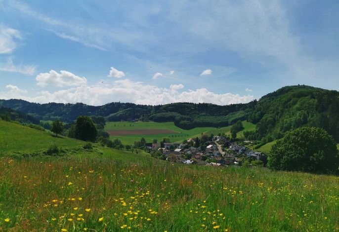 Bild 23
