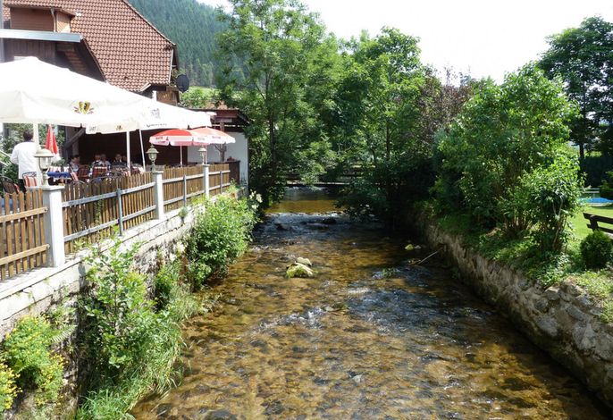 Bild 13