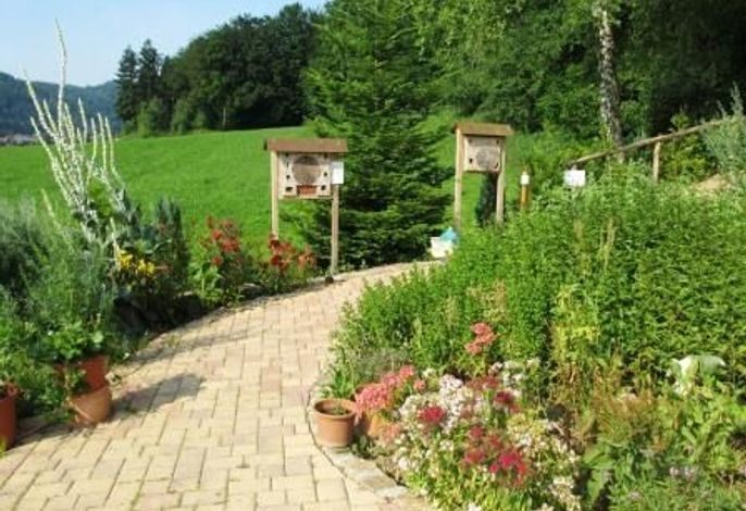 Bild 47