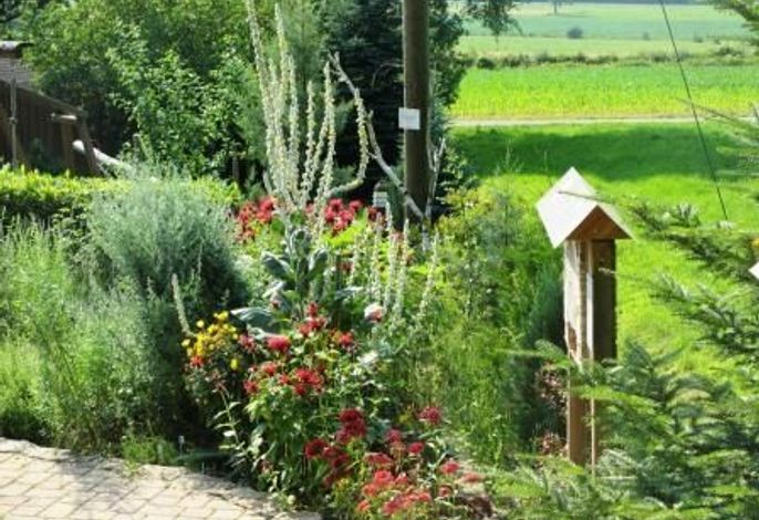 Bild 42