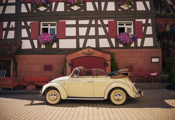 Bild 42