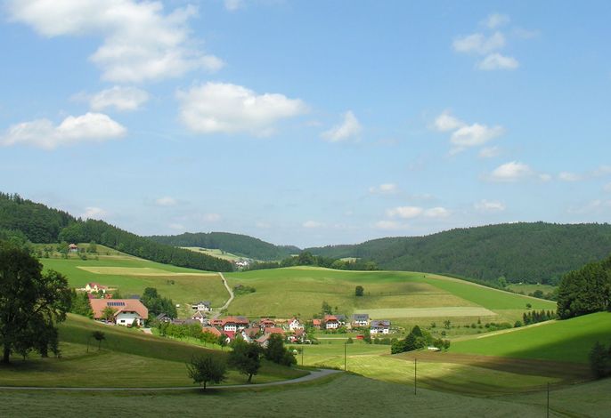 Bild 12
