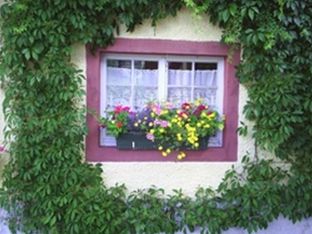 Fenster Sommer.jpg
