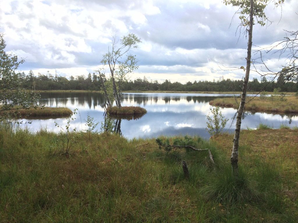 Hochmoor