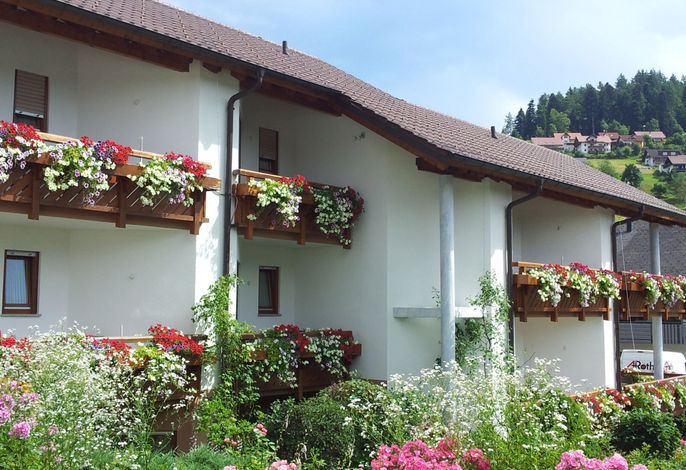 Bild 16