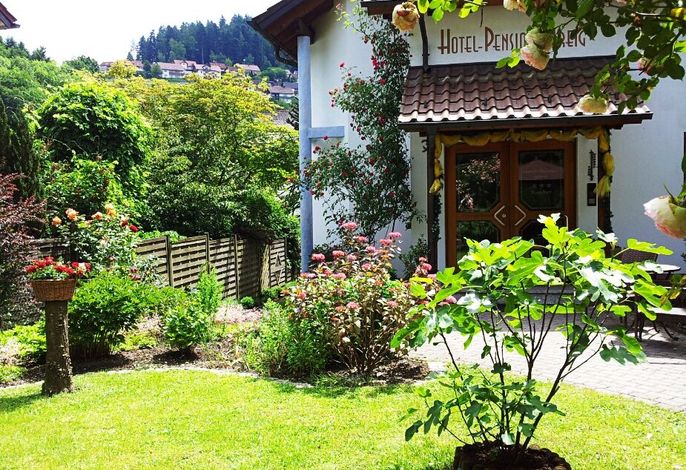 Bild 19