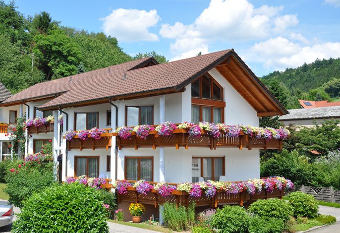 Bild 15