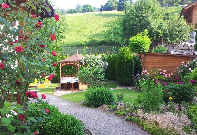 Bild 11
