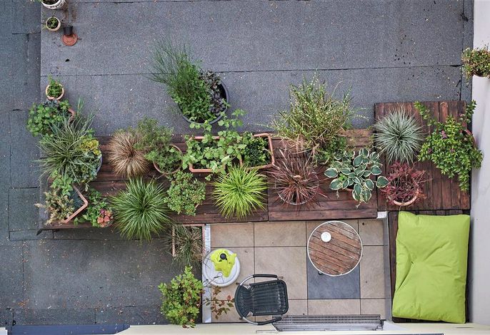 Bild 17