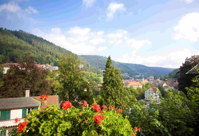 Bild 18