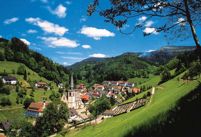 Bild 15