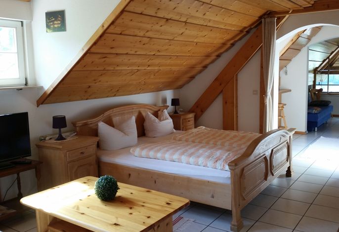 Ehrenmättlehof: Ferienwohnung E10, 45qm, Wohn-/Schlafbereich, max. 3 Personen